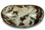 Colorful, Polished Carnelian Agate Palm Stone - Madagascar #256370-1